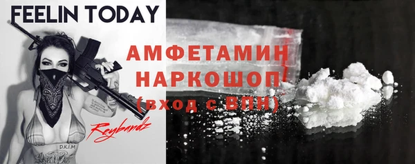 твердый Алексин