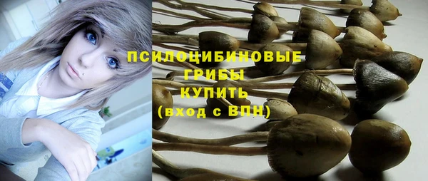 прущие грибы Пролетарск