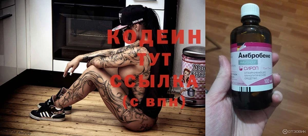 твердый Алексин