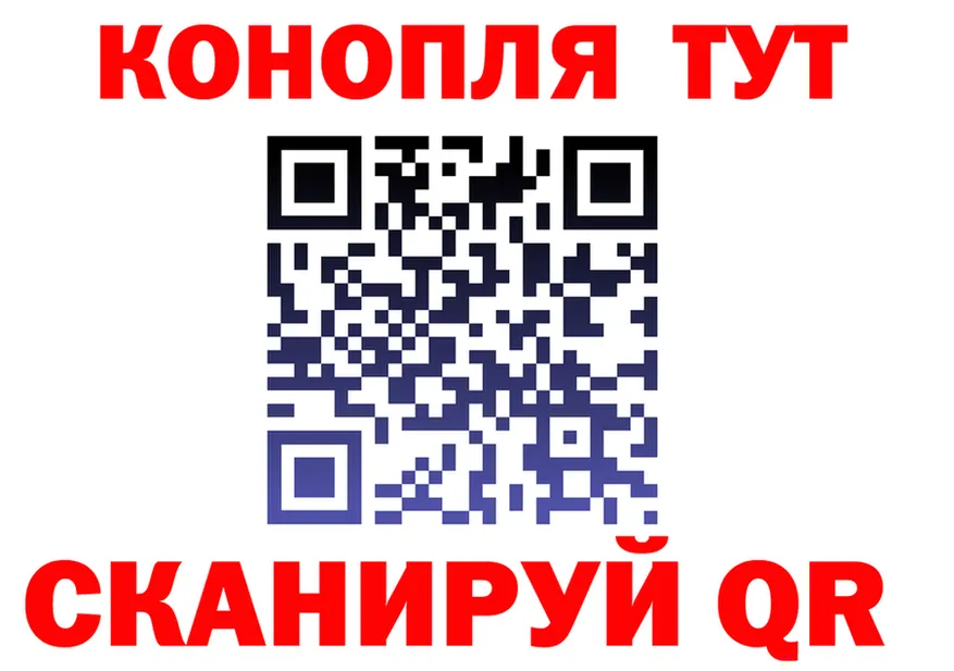 Alfa_PVP СК КРИС вход площадка блэк спрут Апатиты