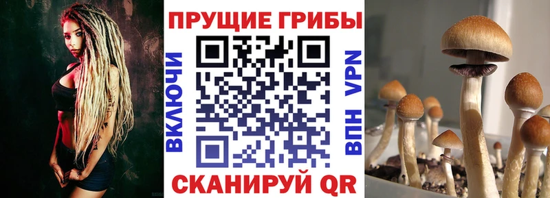 ОМГ ОМГ маркетплейс  хочу наркоту  Апатиты  Галлюциногенные грибы MAGIC MUSHROOMS 